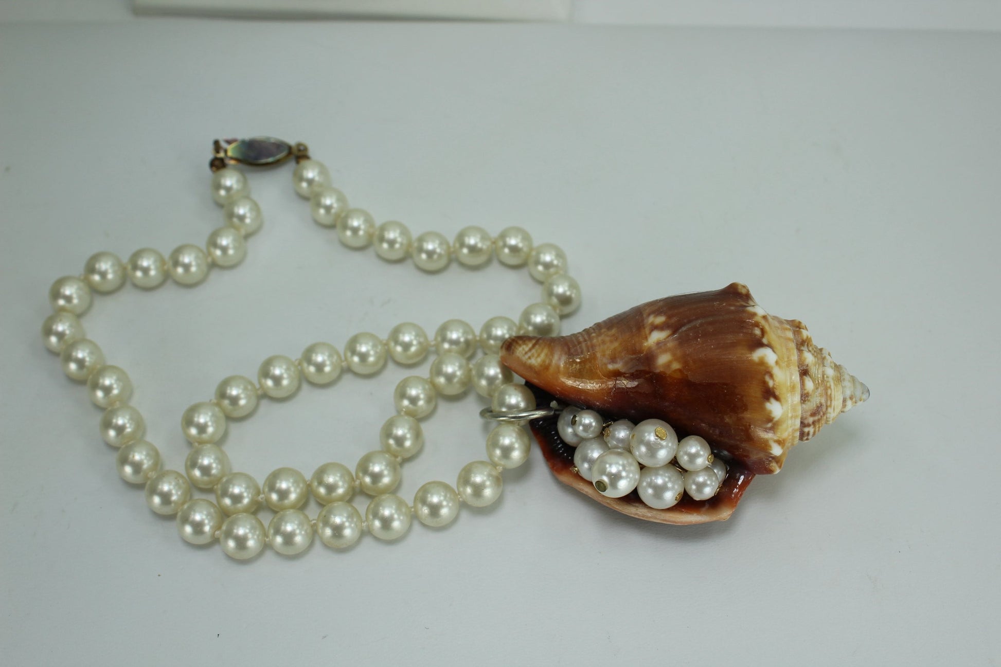Natural Shell Necklace Brown Fighting Conch Pearl Chain 17" Organic Beach Party browns