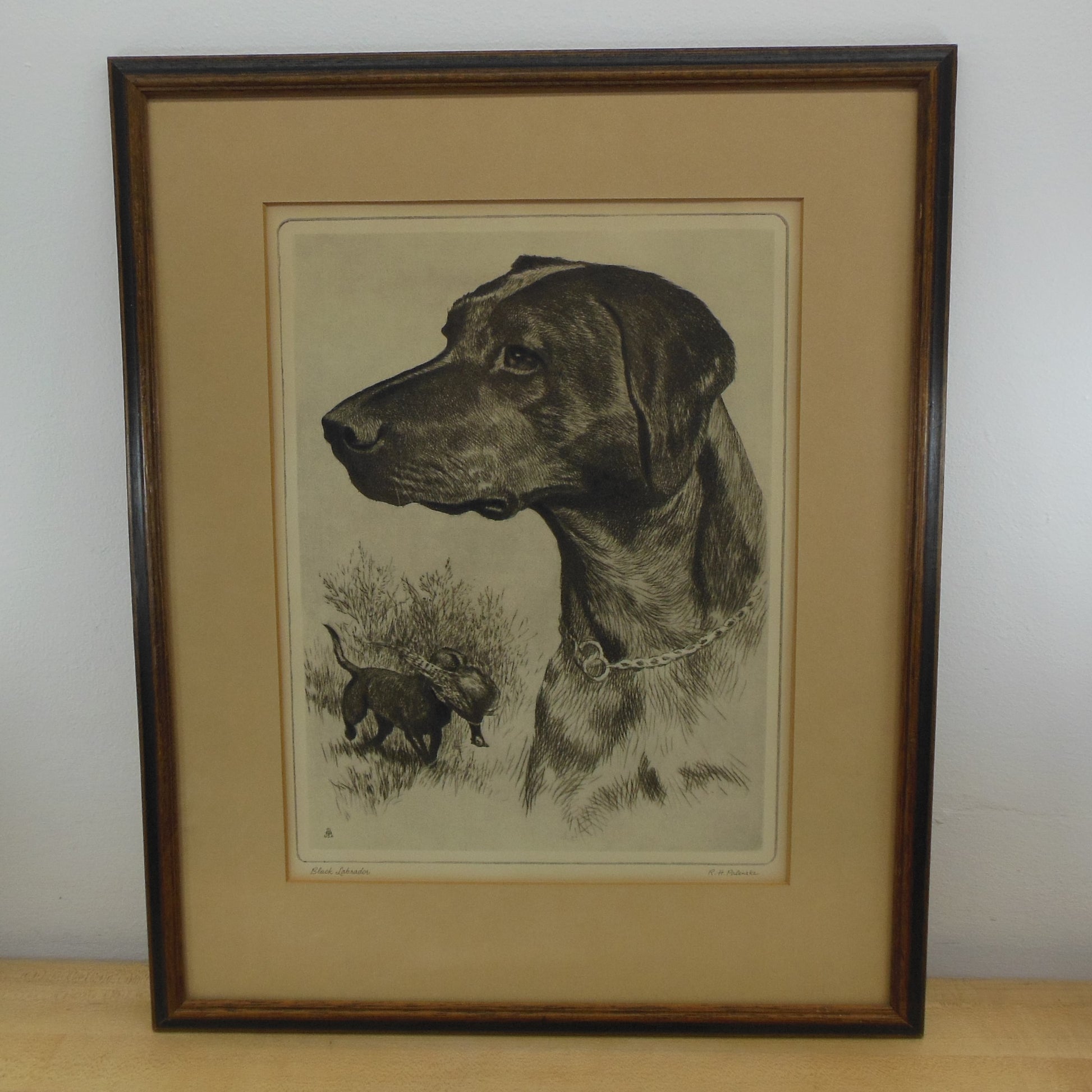 R. H. Palenske Framed Print Black Labrador Dog Hunting