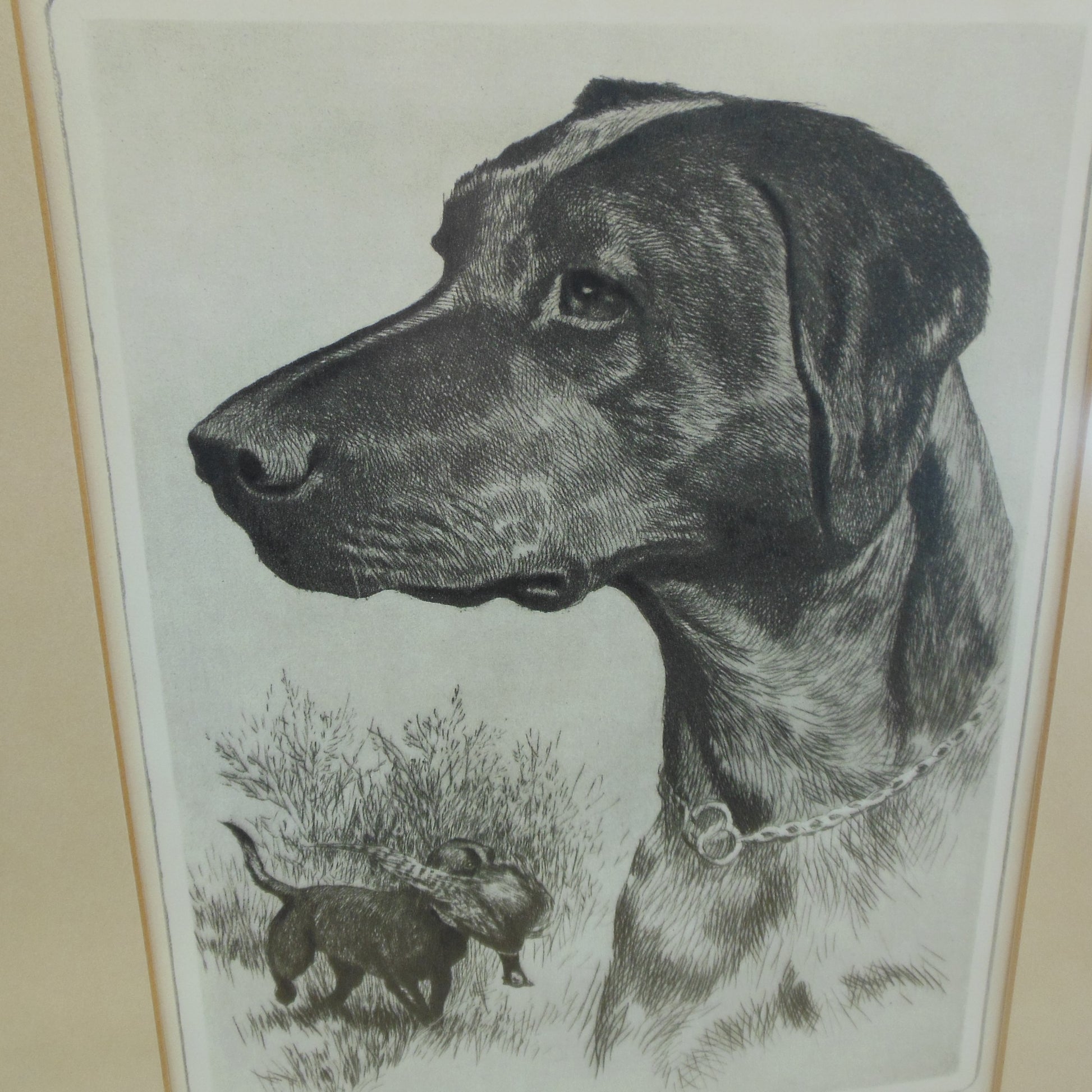 R. H. Palenske Framed Print Black Labrador Dog Hunting Vintage