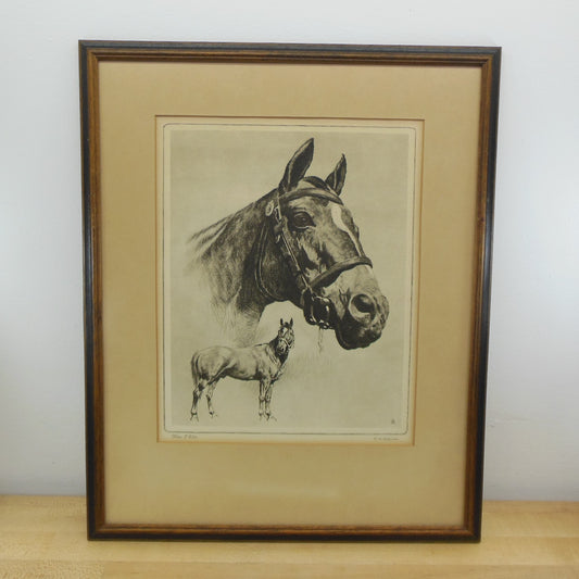 R. H. Palenske Framed Print Man O' War Race Horse