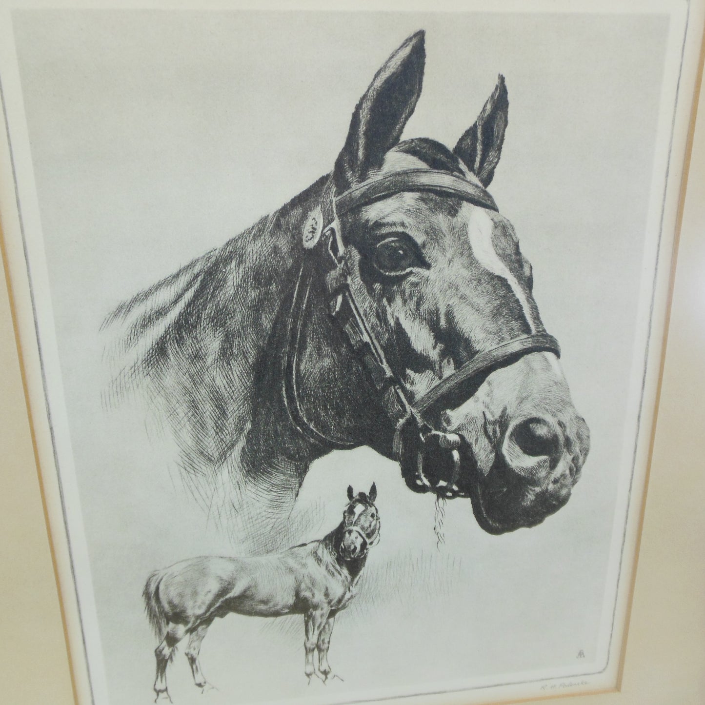 R. H. Palenske Framed Print Man O' War Race Horse Vintage