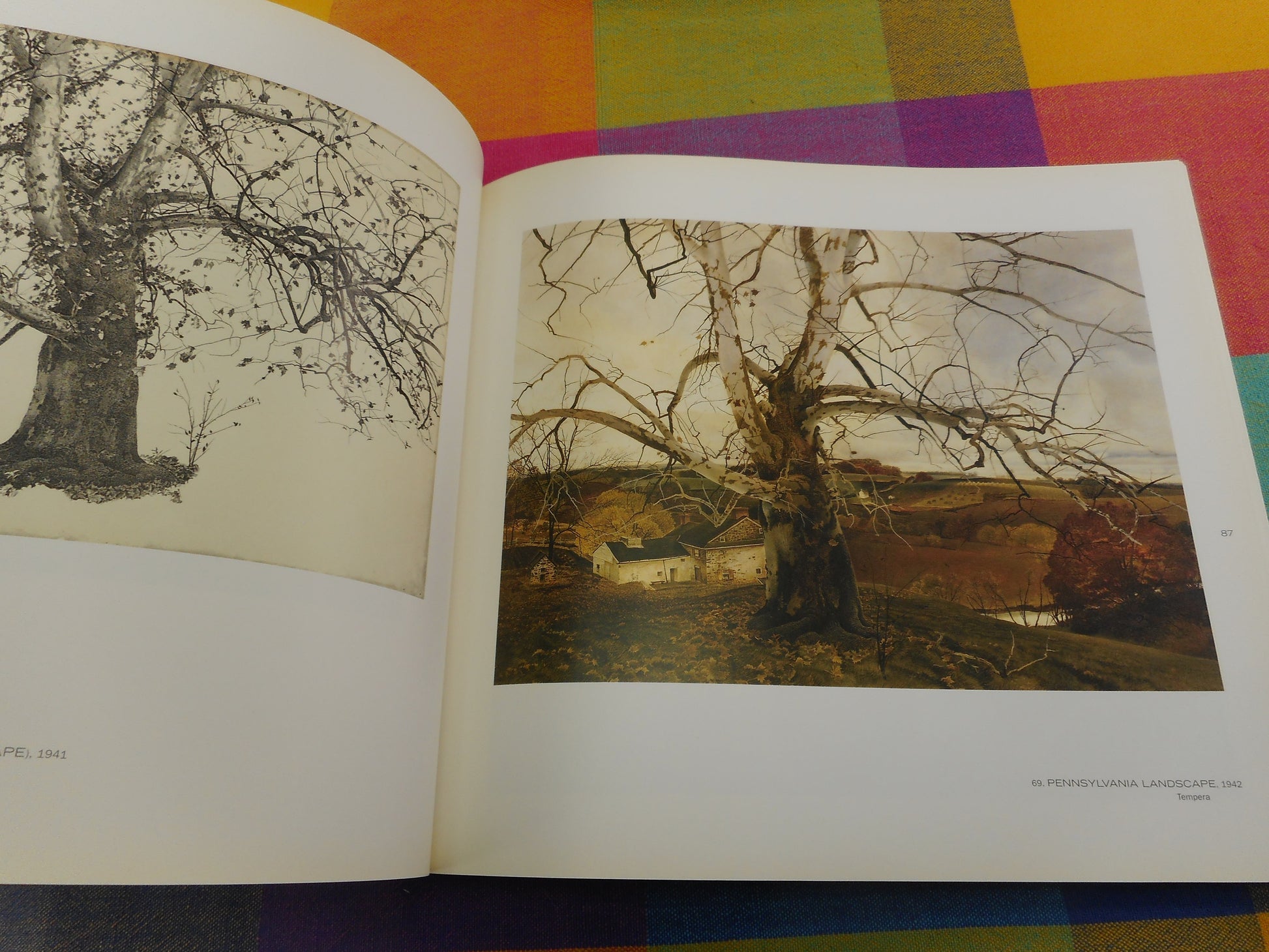Unknown Terrain: the Landscapes of Andrew Wyeth 1998 Whitney Museum Exhibition Book Softback