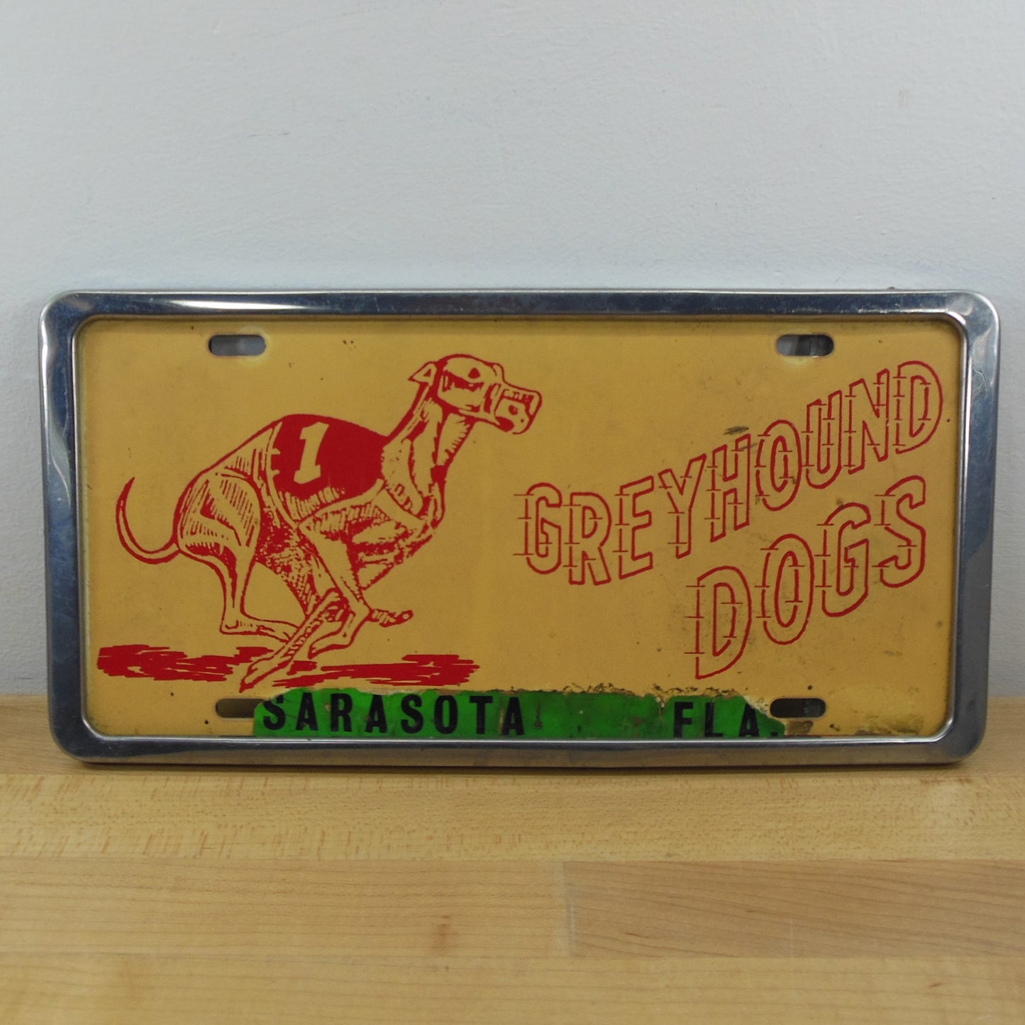 Greyhound Dogs Racing License Plate Sarasota FL #1